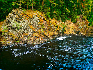 Image showing forest lake