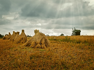 Image showing field in the village