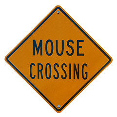 Image showing Mouse Crossing