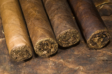 Image showing hand rolled nicaraguan cigars on tobacco leaf