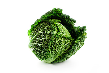 Image showing fresh savoy cabbage