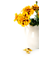 Image showing marigold flowers in vase