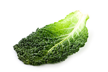 Image showing fresh savoy cabbage leaf