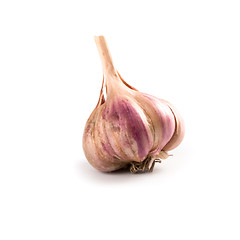 Image showing head of garlic 