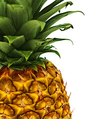 Image showing pineapple