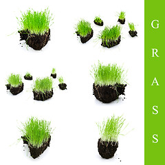 Image showing grass set