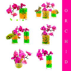 Image showing orchid set