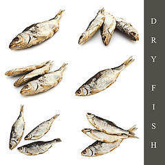 Image showing dry fish set