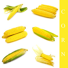 Image showing corn set