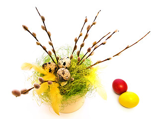 Image showing Easter willow