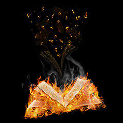 Image showing manuscripts do not burn