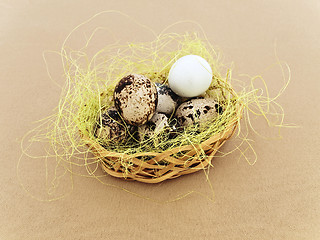 Image showing quial eggs