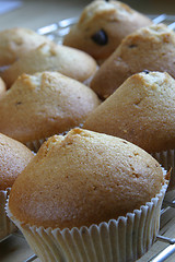 Image showing Muffins