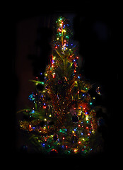 Image showing christmas fir with lightings