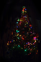 Image showing christmas fir with lightings