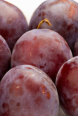 Image showing Black plums