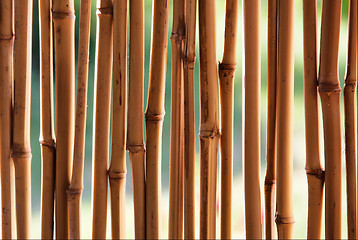 Image showing Bamboo (cane) background