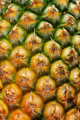 Image showing pineapple pine