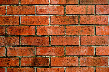 Image showing old bricks wall