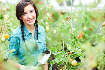 Image showing Gardening woman