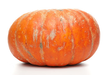 Image showing Orange pumpkin 