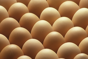 Image showing Country brown eggs lined up