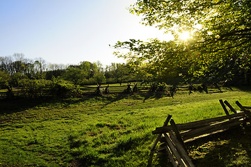 Image showing Sun shining through trees on a farm