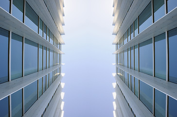 Image showing Exterior windows of two identical modern buildings