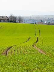 Image showing Fields