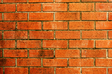 Image showing stone red wall pattern natural surface 