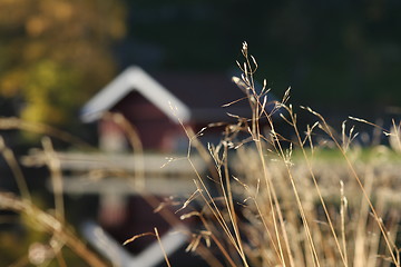 Image showing Boathouse in background