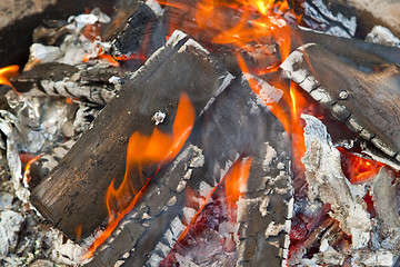 Image showing Campfire