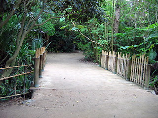 Image showing The path. Melbourne. Australia