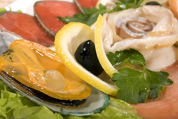 Image showing Dish with seafood    