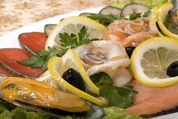 Image showing Dish with seafood  