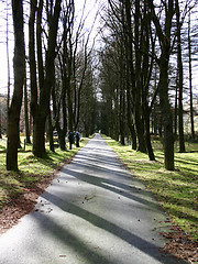 Image showing Tree line