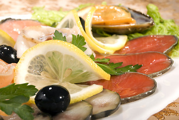Image showing Dish with seafood     