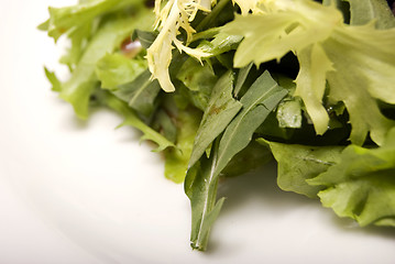 Image showing Salad leaves 