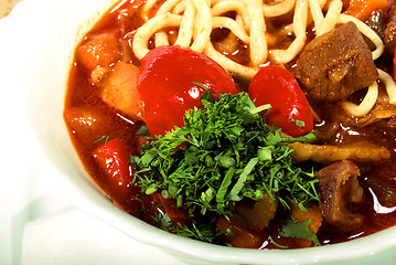 Image showing Hot appetizing soup      