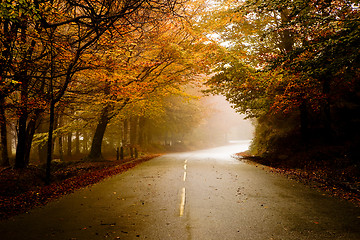 Image showing Beautiful road