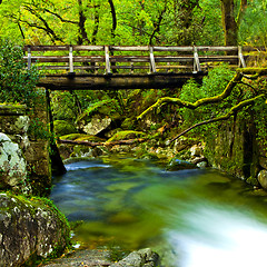 Image showing Beautiful river