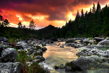 Image showing Mountain River 