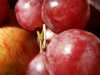 Image showing Apples and grape   