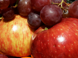 Image showing Apples and grape     