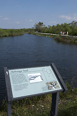 Image showing Royal palm visitor center