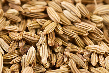 Image showing Fennel seeds