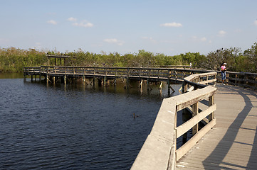 Image showing Anhinga trail boardwalk