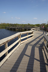 Image showing Anhinga trail boardwalk