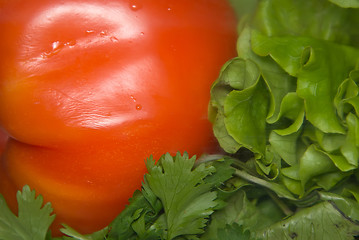 Image showing tomato