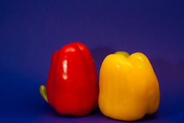 Image showing Paprika